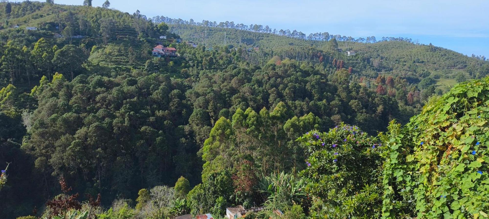 Hotel Highland Heaven Tamilnadu - Tamilnadu - Kodaikanal Exterior foto
